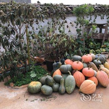 昆明红土高原酒店酒店提供图片