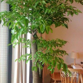 广州Magic Place民宿酒店提供图片