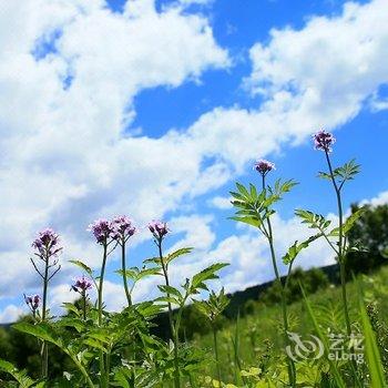 张家口万龙滑雪场双龙酒店酒店提供图片