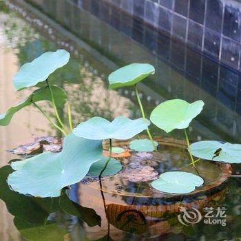 厦门希阁花园酒店(原希阁酒店)酒店提供图片