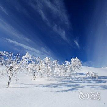 牡丹江一家青旅酒店提供图片