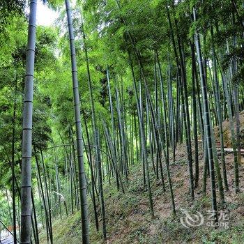 安吉卜宿乡居酒店提供图片