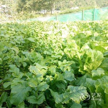 张家界好来屋客栈酒店提供图片