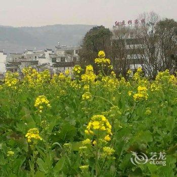 上饶红豆杉客栈酒店提供图片