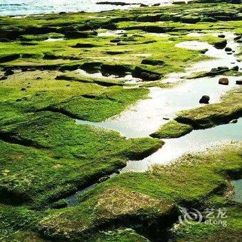 ��޵�4�ŵ�ϣ���Ǳ���ջ�Ƶ��ṩͼƬ