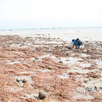 ��޵�4�ŵ�ϣ���Ǳ���ջ�Ƶ��ṩͼƬ