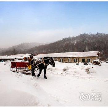 雪乡二浪河强哥雪途驿站酒店提供图片