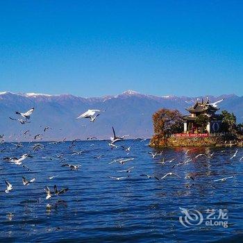 大理曼旅·洱海湿地海景客栈酒店提供图片