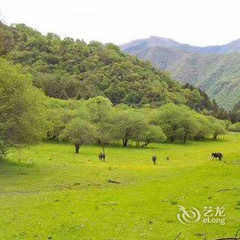 平武花腰带藏家客栈酒店提供图片