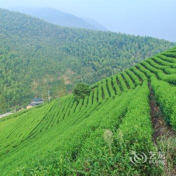 莫干山清境原舍·望山酒店提供图片