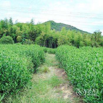 莫干山清境原舍·望山酒店提供图片