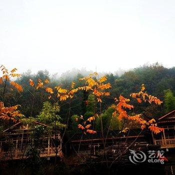 张家界五号山谷乡村度假民居酒店提供图片