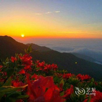 浏阳大围山麒林山庄酒店提供图片