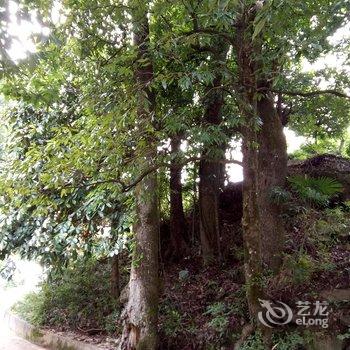 浏阳大围山麒林山庄酒店提供图片