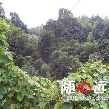 浏阳大围山麒林山庄酒店提供图片