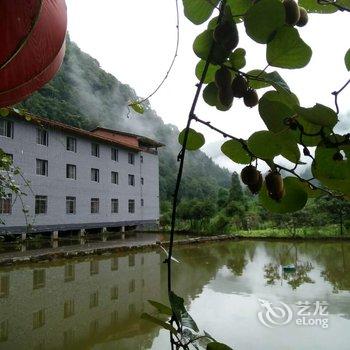 重庆江津大自然农家乐酒店提供图片