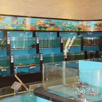 浠水天泽大酒店酒店提供图片