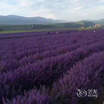 阿坝川主寺安乐客栈酒店提供图片