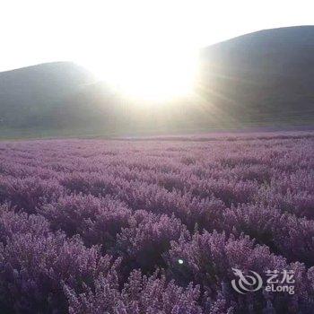 阿坝川主寺安乐客栈酒店提供图片