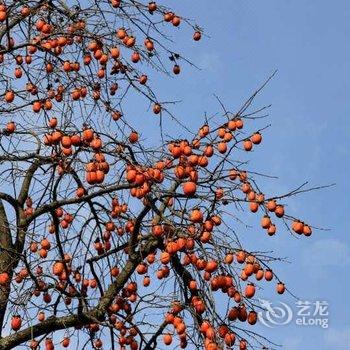 德兴坐忘美宿酒店提供图片