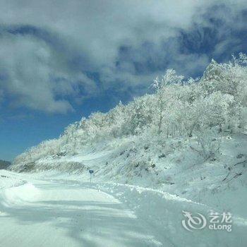 亚布力雪龙度假山庄酒店提供图片