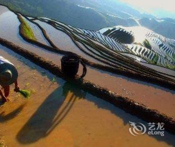 龙脊梯田金稻山庄酒店提供图片