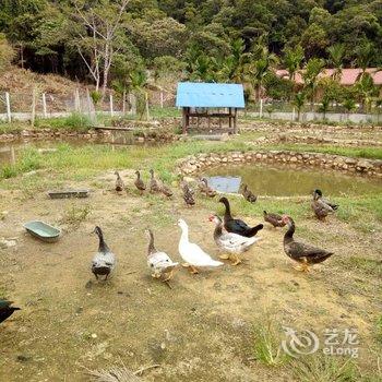 乐东县南线之家旅馆酒店提供图片