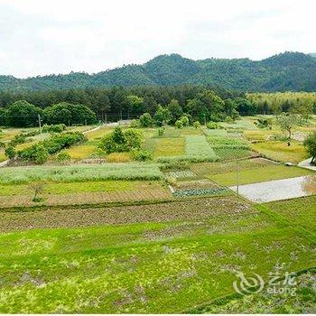 永嘉楠溪湾楠舍酒店提供图片