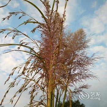 南靖云水谣水云居客栈酒店提供图片