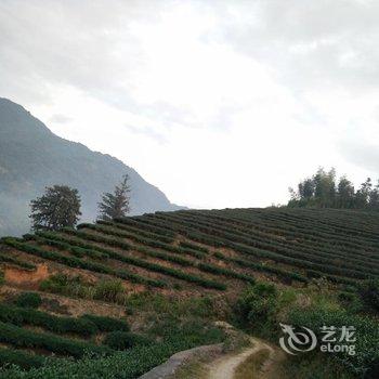 南靖云水谣水云居客栈酒店提供图片