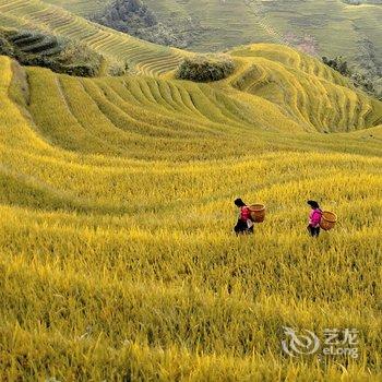 龙胜龙脊梯田清境·原舍酒店提供图片