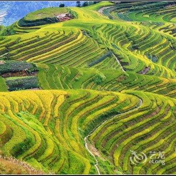 龙胜龙脊梯田清境·原舍酒店提供图片