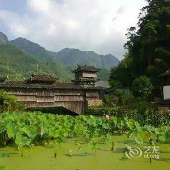 庆元桥头堡农家乐酒店提供图片