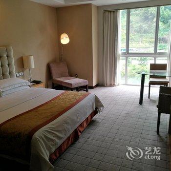 重庆天星两江假日酒店酒店提供图片