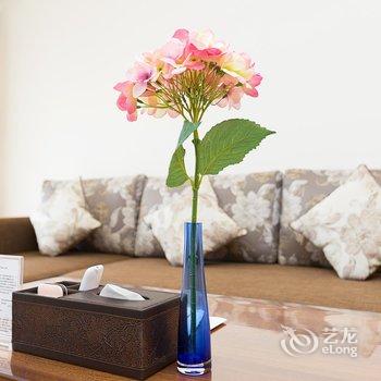 海口尊旅泰格玛观澜湖度假公寓酒店提供图片