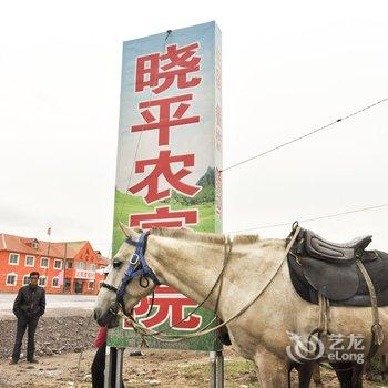 丰宁坝上草原晓平农家院酒店提供图片