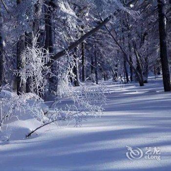 雪乡东来客栈酒店提供图片