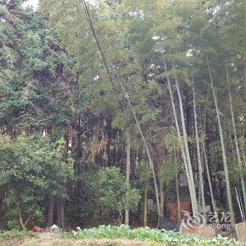 婺源望乡青年旅社酒店提供图片