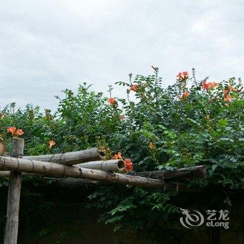 荣成海草房唐乡酒店酒店提供图片