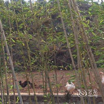 昆明东川红土地山居酒店酒店提供图片