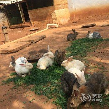 昆明东川红土地山居酒店酒店提供图片