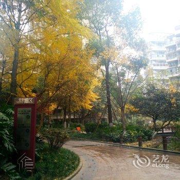 成都有故事青年旅舍酒店提供图片