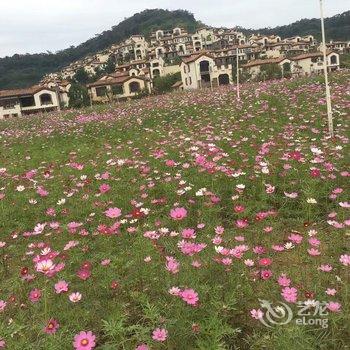 南昆山风景区半山度假别墅酒店提供图片