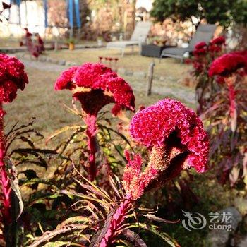 莫干山群英山庄酒店提供图片