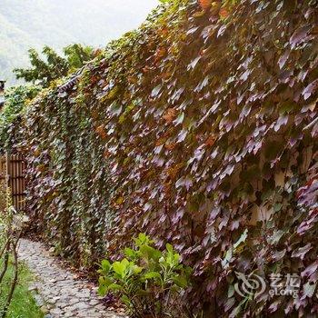 莫干山群英山庄酒店提供图片