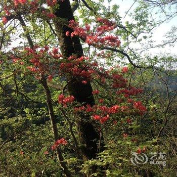 黄山黟县忠诚客栈酒店提供图片