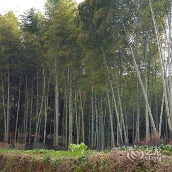 婺源望乡青年旅社酒店提供图片