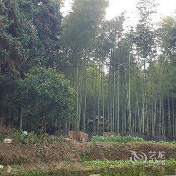 婺源望乡青年旅社酒店提供图片