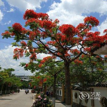 普洱陌上花开客栈酒店提供图片