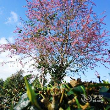 普洱陌上花开客栈酒店提供图片